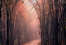 乐鱼官方网站-皇马绝杀引爆西甲格局剧变！争冠保级双线陷生死时速