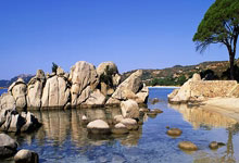 乐鱼体育线上网站-鹿岛鹿角核心球员体能管理，世俱杯冲刺关键因素