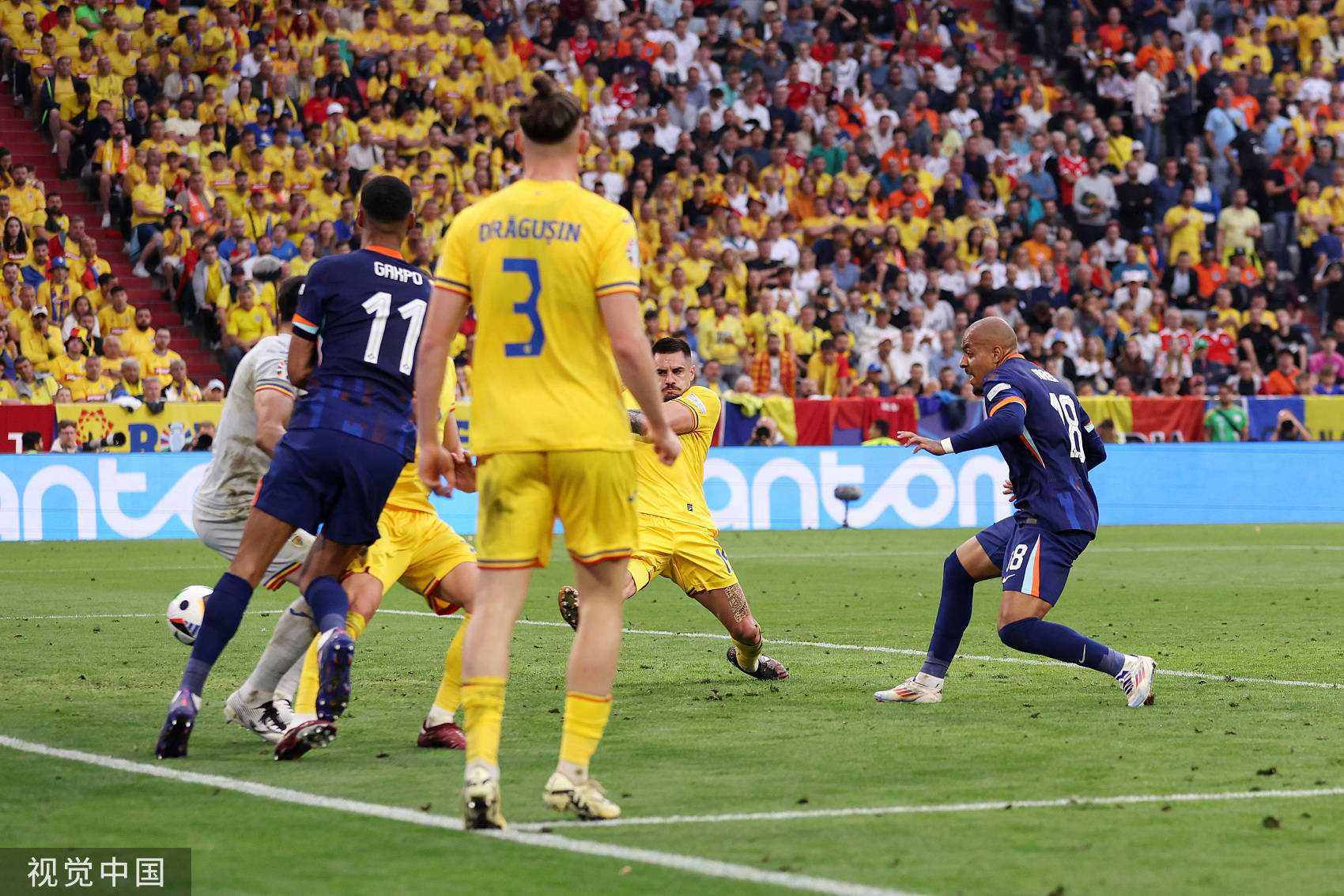 乐鱼app-荷兰队再下一城，晋级顶级联赛