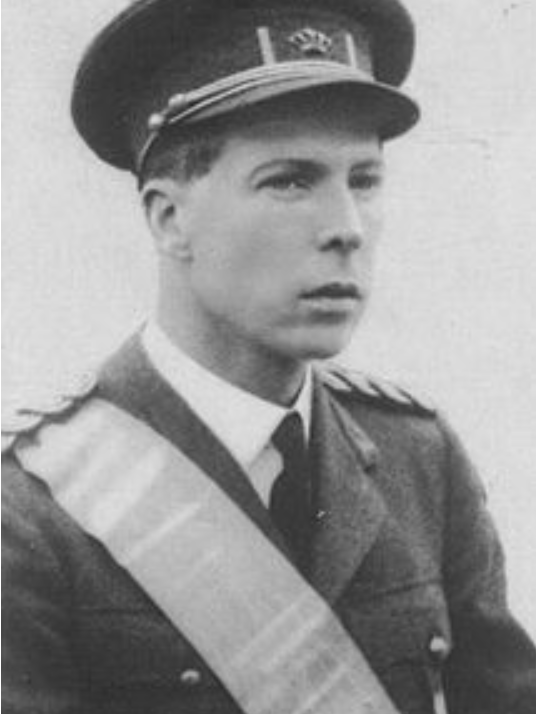 包含夏尔尔热身赛意外受伤，需暂停训练的词条